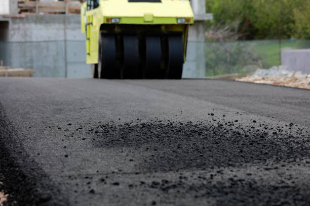 Best Driveway Paving Contractor  in Holly Springs, MS